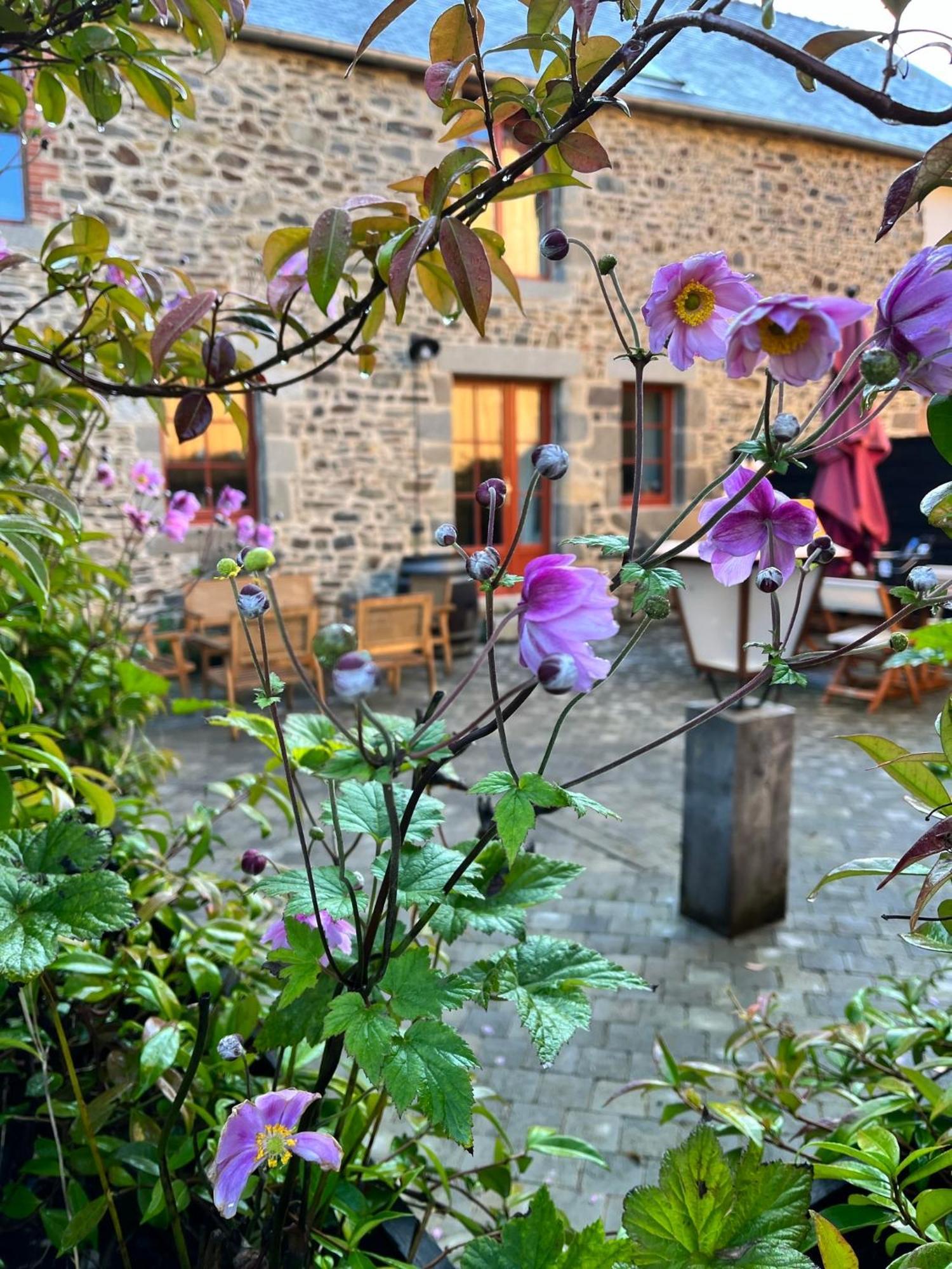 Отель Domaine Du Tertre Ychot Доль-де-Бретань Экстерьер фото